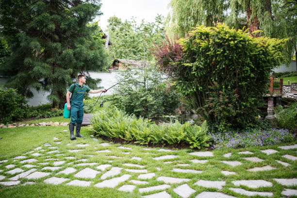Best Best Pest Control Companies  in Smyrna, TN