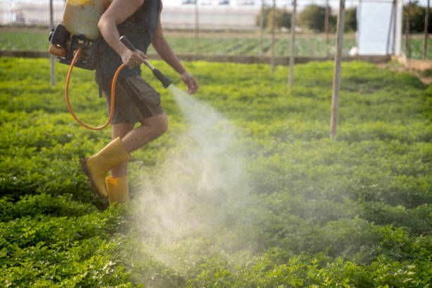 Best Best Pest Control Companies  in Smyrna, TN