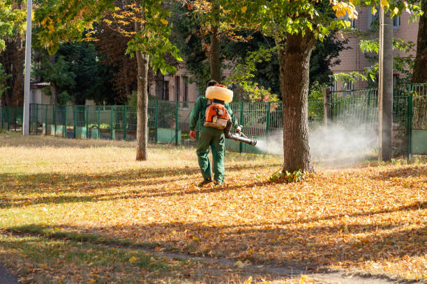 Professional Pest Control in Smyrna, TN